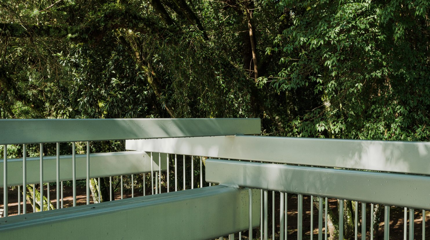 Sower & Around a Tree